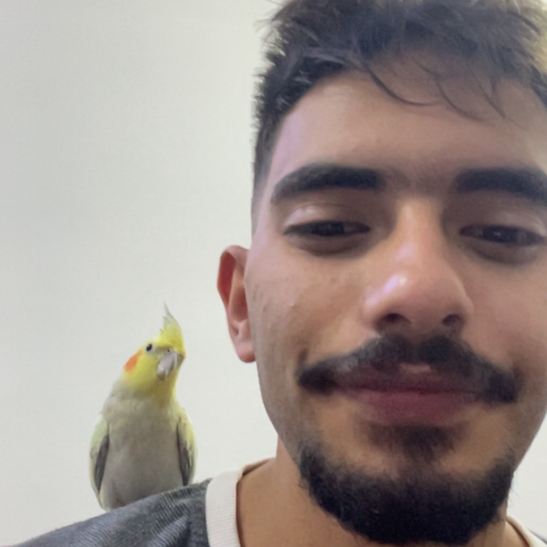 Gym photo — Havy Test